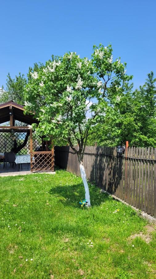 Willa Casa Dana Râșnov Zewnętrze zdjęcie