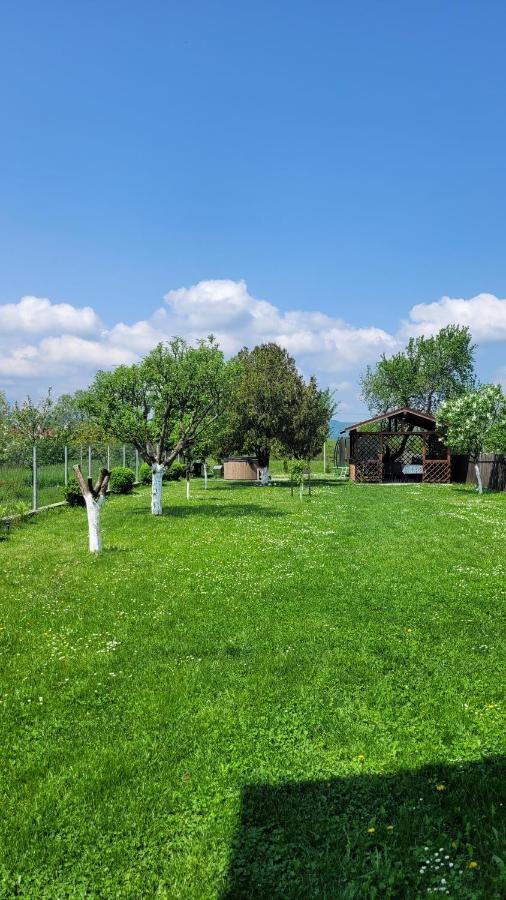 Willa Casa Dana Râșnov Zewnętrze zdjęcie